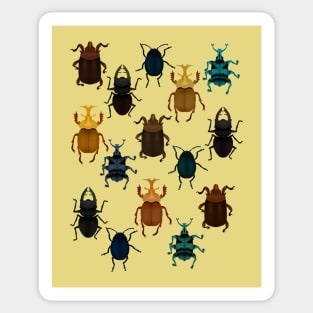 Bugs and beetles Sticker